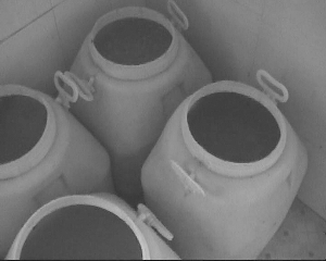 央視曝光南京鹽水鴨市場(chǎng)亂象:生產(chǎn)車間蒼蠅亂飛(圖)