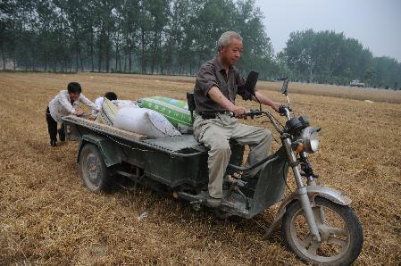 持續降水將至 江蘇各地加緊麥收