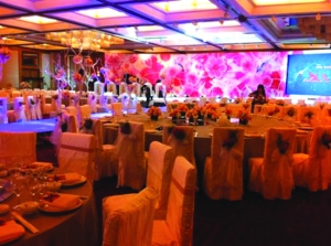 南京奢華婚禮大腕豪車云集 據稱毛阿敏董文華獻唱