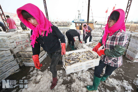 贛榆：滿載而歸進港休漁