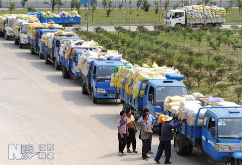 連云港夏糧收購全面展開