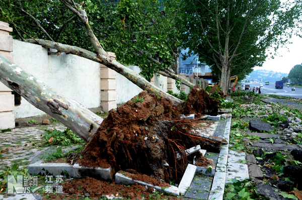 “達維”襲擊連云港
