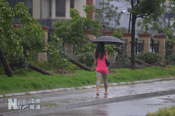 “海葵”襲蘇州