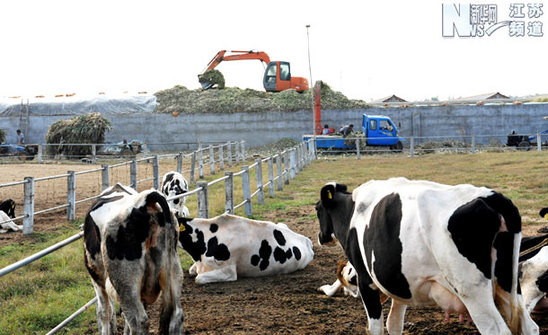 贛榆：秸稈回收利用效益顯著