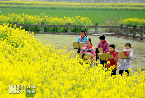 燦爛油菜花 學生寫生忙