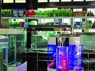 “王昌齡宴飲處”被寵物店占領 網友斥糟蹋古跡(圖)