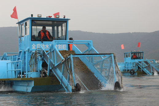 吳中啟動(dòng)太湖水草常態(tài)化打撈工作