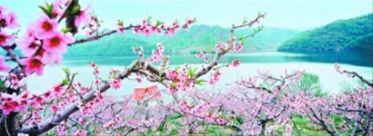 丹東外貿出口躍居全省第四