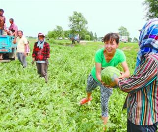 錦州:西瓜豐收 咱不愁賣