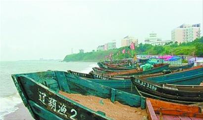 記者走基層:誰動了我們的海蜇?