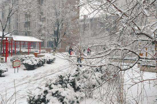 今年沈陽(yáng)可能經(jīng)歷最晚的春季