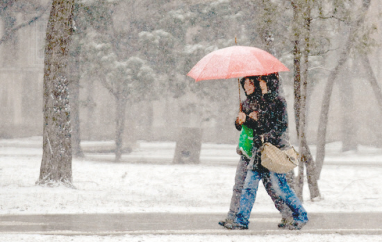 今年沈陽(yáng)可能經(jīng)歷最晚的春季