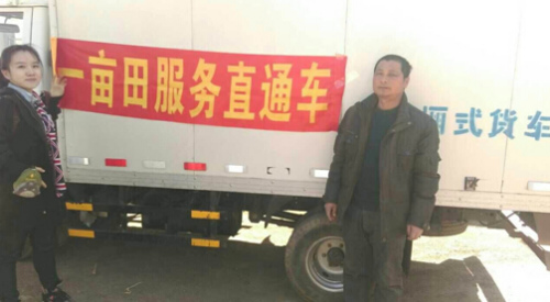 沈陽胡蘿卜嚴重滯銷:微博引發“網絡救災”