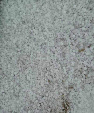 大連:冰雹來襲!個頭像玉米粒(圖)