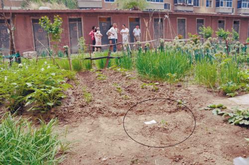 沈陽:2歲童4樓墜下 萬幸僅僅小擦傷(圖)