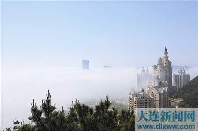 大連：冷霧無聲濕花木 細雨有情洗路街（圖）