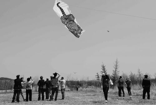 沈陽:18米長涂鴉風箏亮相風箏節(圖)