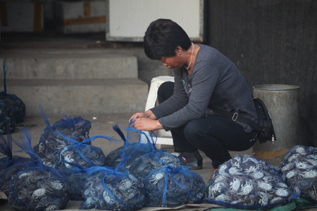 遼寧盤山打響“河蟹產業第一縣”品牌