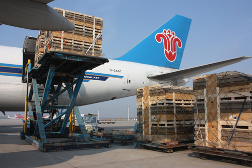 599頭比隆種豬9小時(shí)飛抵沈陽安家