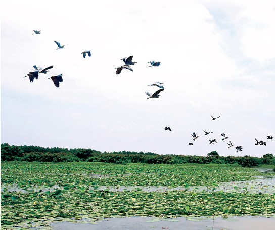 廣州走“治霾”特色路 建綠色發展的示范區