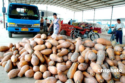 我發(fā)布首個農(nóng)產(chǎn)品出口五年規(guī)劃 2010年達380億