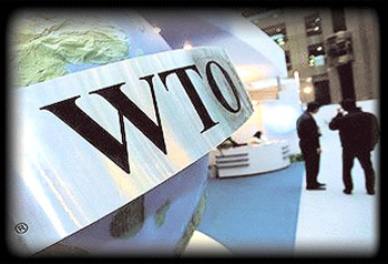 梅新育:入世十年,誰是贏家