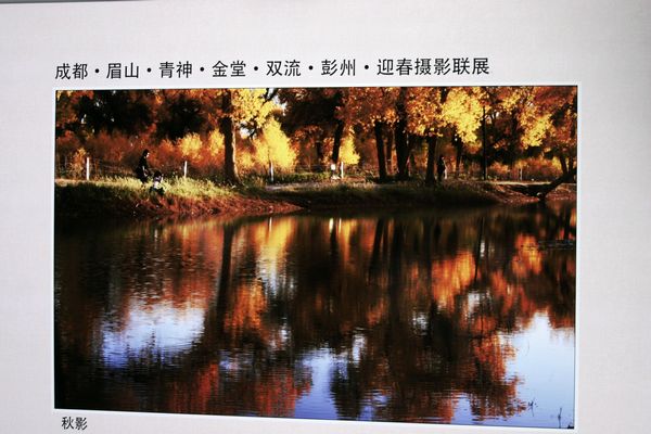 成都第八屆海棠花會掠影