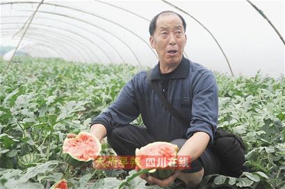 “膨大劑”風(fēng)波重創(chuàng)成都西瓜 “口口脆”大量滯銷(xiāo)