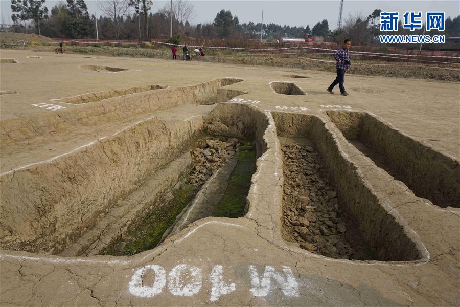 成都發(fā)現(xiàn)春秋戰(zhàn)國(guó)大型船棺墓群 如地下青銅器寶庫(kù)