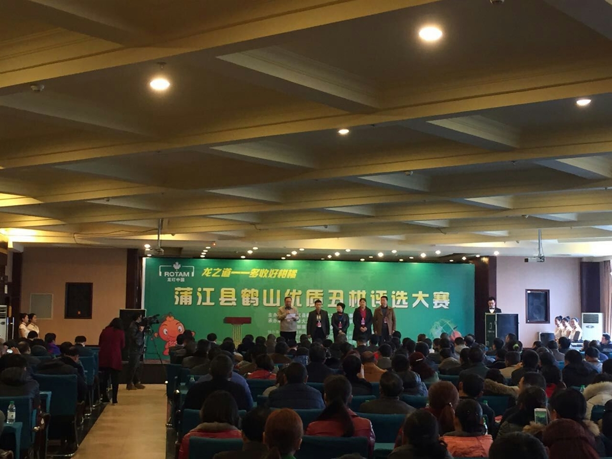 蒲江丑柑也“選美”，比顏值也看內涵