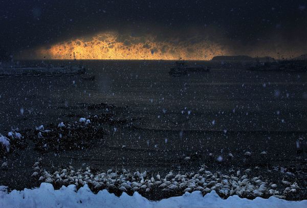 黃可華:藝術(shù)家的靈魂 詩一般的創(chuàng)意