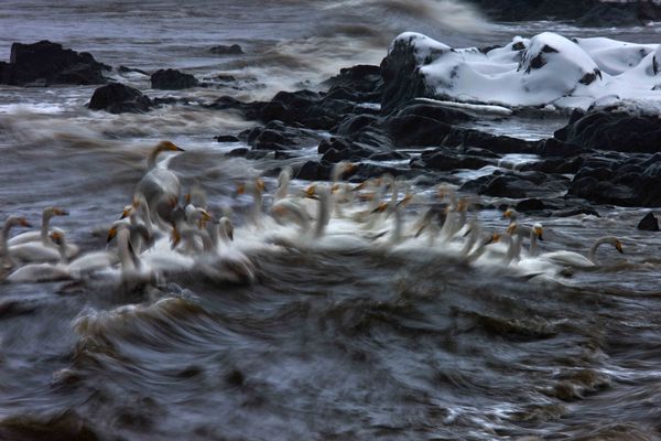 黃可華:藝術(shù)家的靈魂 詩一般的創(chuàng)意