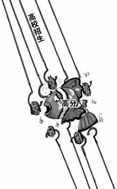 調查：超8成人認為爭搶高分考生凸顯大學教育悖論