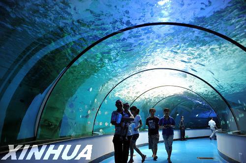 泉城海洋極地世界開(kāi)館