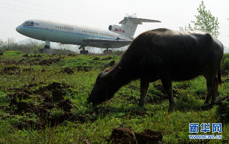 周總理座機(jī)停放安徽合肥荒野兩年多