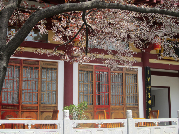 相聚大唐博相府 “穿越時空”感受大唐盛世文化