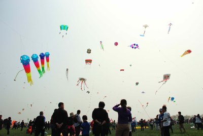 海內(nèi)風箏高手競技第八屆濰坊世界風箏錦標賽