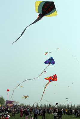 海內(nèi)風箏高手競技第八屆濰坊世界風箏錦標賽