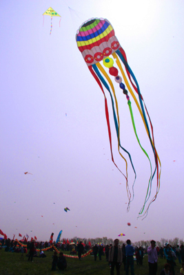 海內(nèi)風箏高手競技第八屆濰坊世界風箏錦標賽