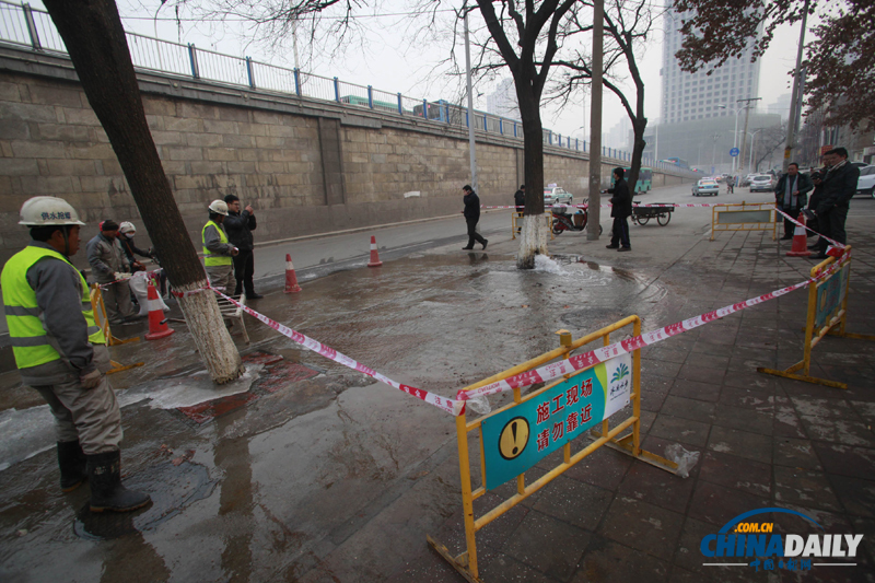 濟(jì)南首現(xiàn)大樹“吐水”奇觀