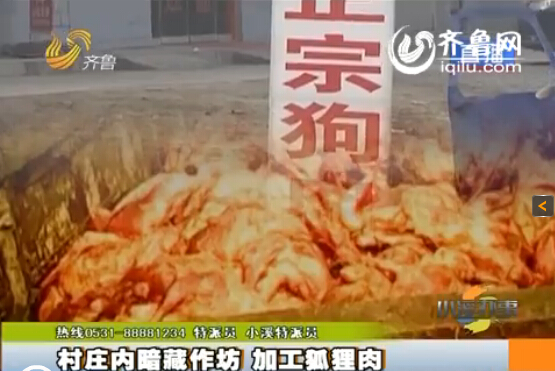 臨沂:村莊內暗藏小作坊 日加工死狐貍肉上百噸