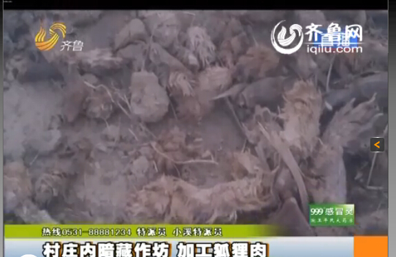 臨沂:村莊內暗藏小作坊 日加工死狐貍肉上百噸