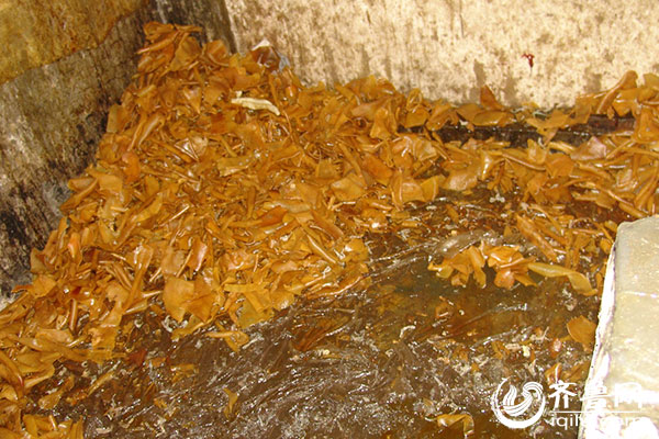 泰安檢察官揭秘“毒皮肚”案審判過程:制售者險逃法網