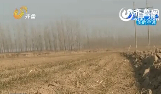 聊城：農戶家15畝麥苗全部死亡 原因仍在調查當中