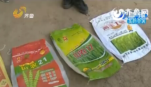 聊城：農戶家15畝麥苗全部死亡 原因仍在調查當中