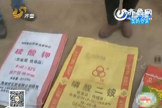 聊城：農戶家15畝麥苗全部死亡 原因仍在調查當中