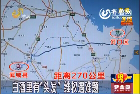 古貝春白酒現5厘米長“頭發”?東營消費者跨270公里維權