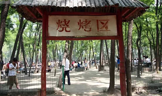 濟(jì)南春游最強(qiáng)攻略 野外燒烤賞花約起來！