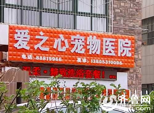 泰山小動物保護中心窘況：狗糧緊缺 下山買水挺貴