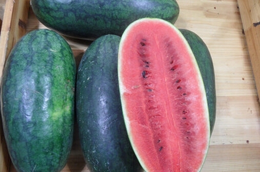 青島17人食冰糖黑美人西瓜中毒 產(chǎn)地萬寧派調(diào)查組赴魯